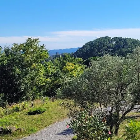 Les Ailanthes Bed & Breakfast *